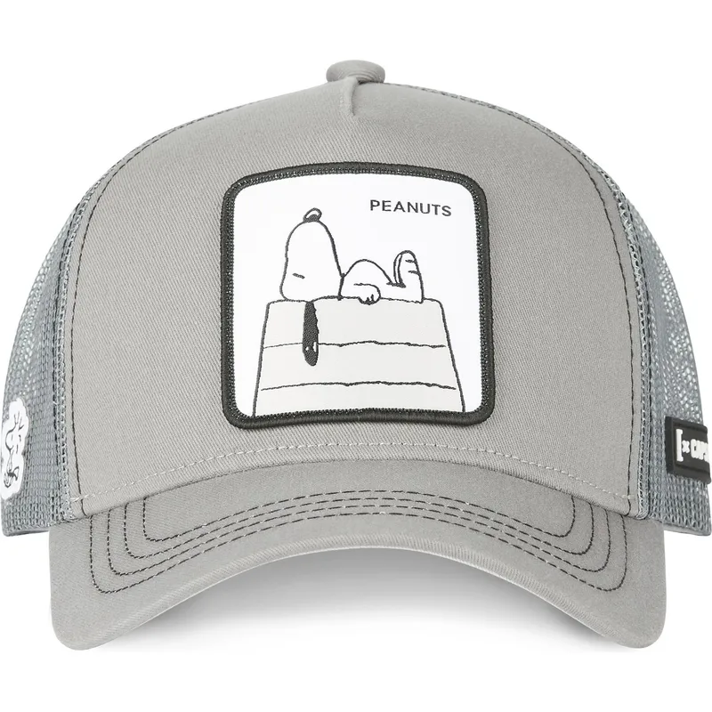 lippikset-kaareva-rekka-harmaa-snapback-sn2-snoopy-tenavat-capslab