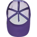 lippikset-kaareva-rekka-violetti-snapback-lapsille-lone-wolf-lil-the-farm-goorin-bros