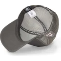 lippikset-kaareva-rekka-harmaa-snapback-tom-looney-tunes-capslab