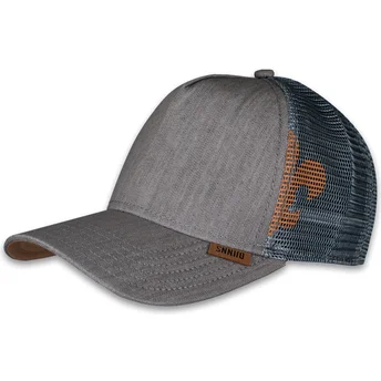 Lippikset kaareva rekka harmaa snapback HFT Linen 2014 Djinns