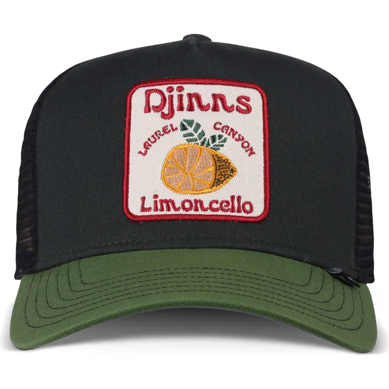 cap-kaareva-black-snapback-djinns