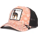 cap-kaareva-pink-snapback-the-farm-de-goorin-bros