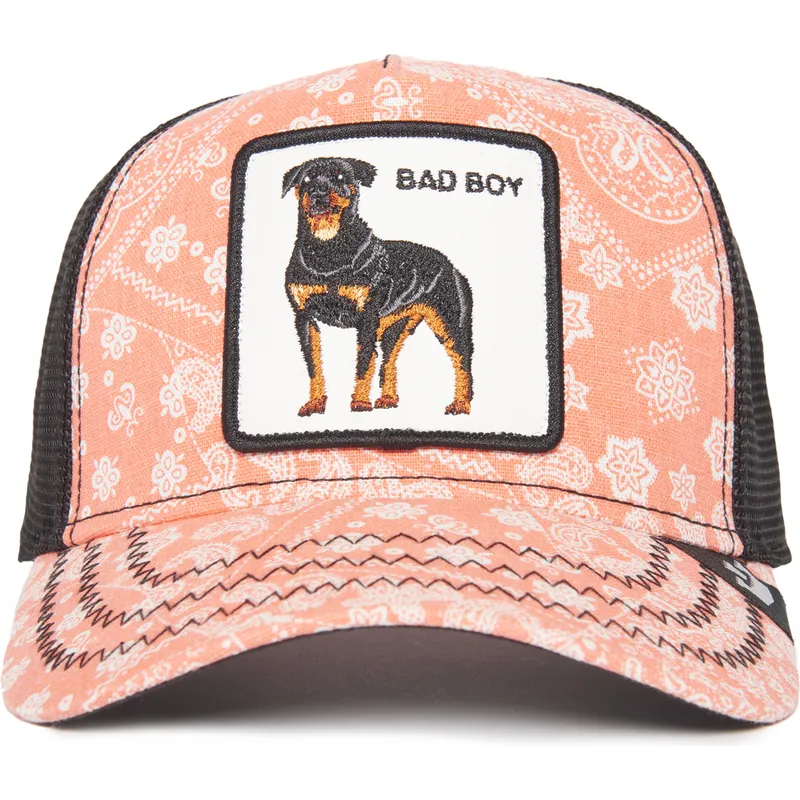 cap-kaareva-pink-snapback-the-farm-de-goorin-bros