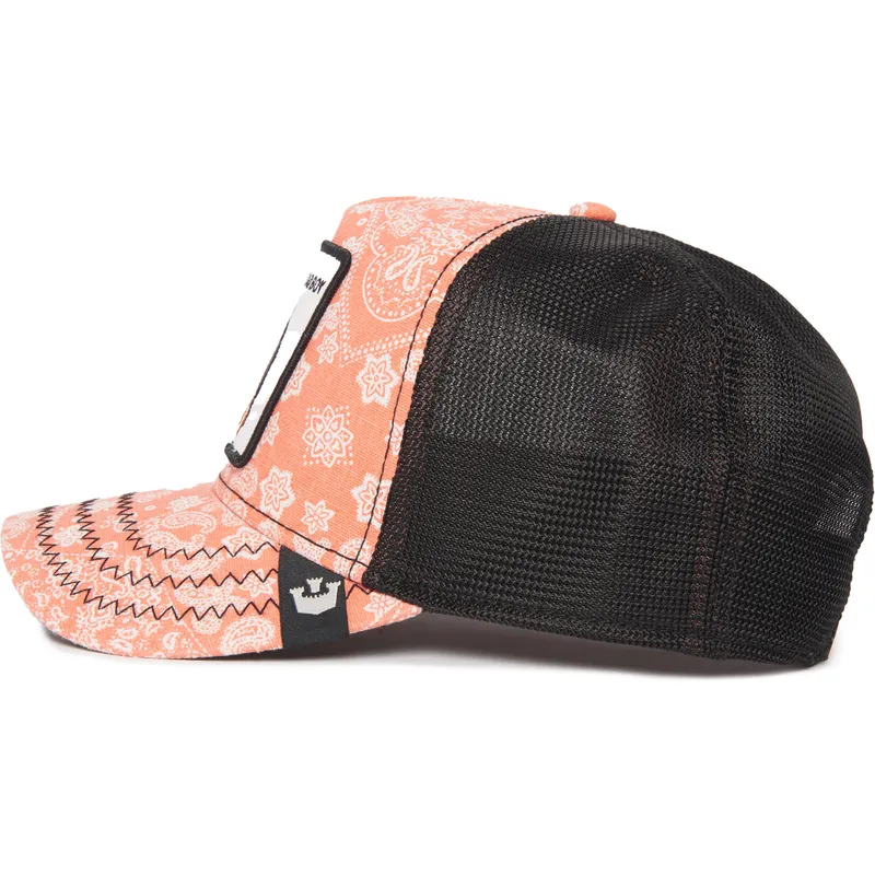 cap-kaareva-pink-snapback-the-farm-de-goorin-bros