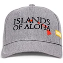 lippikset-kaareva-monivarinen-saadettava-nauha-islands-of-aloha-coastal