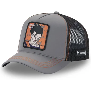 Cap kaareva gray snapback Son Gohan Dragon Ball Capslab