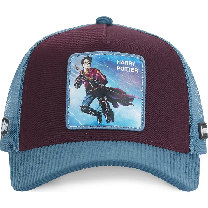 lippikset-kaareva-rekka-monivarinen-snapback-pot4-harry-potter-capslab