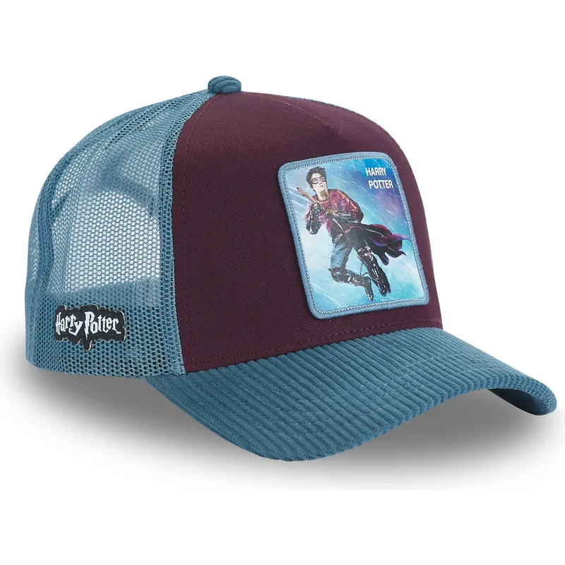 lippikset-kaareva-rekka-monivarinen-snapback-pot4-harry-potter-capslab