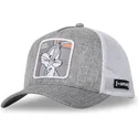 lippikset-kaareva-rekka-harmaa-snapback-loo10-bug-vaiski-vull-looney-tunes-capslab