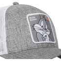 lippikset-kaareva-rekka-harmaa-snapback-loo10-bug-vaiski-vull-looney-tunes-capslab