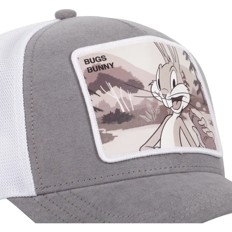 lippikset-kaareva-rekka-harmaa-snapback-loo9-bug-vaiski-vull-looney-tunes-capslab lippikset-kaareva-rekka-harmaa-snapback-loo9-bug-vaiski-vull-looney-tunes-capslab