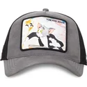 lippikset-kaareva-rekka-harmaa-snapback-taj5-tom-ja-jerry-looney-tunes-capslab
