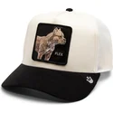 lippikset-kaareva-rekka-beige-snapback-flex-the-suede-the-farm-goorin-bros