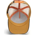 lippikset-kaareva-rekka-ruskea-snapback-the-wildcat-tiger-big-cats-the-farm-goorin-bros