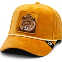 lippikset-kaareva-keltainen-snapback-lion-royalty-the-farm-goorin-bros