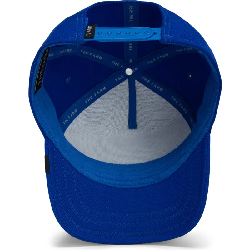 cap-kaareva-blue-snapback-the-farm-de-goorin-bros