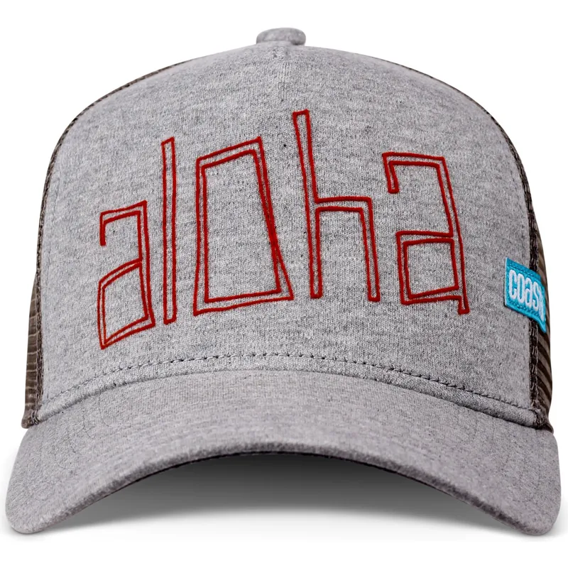 lippikset-kaareva-rekka-harmaa-snapback-aloha-jersey-hft-coastal