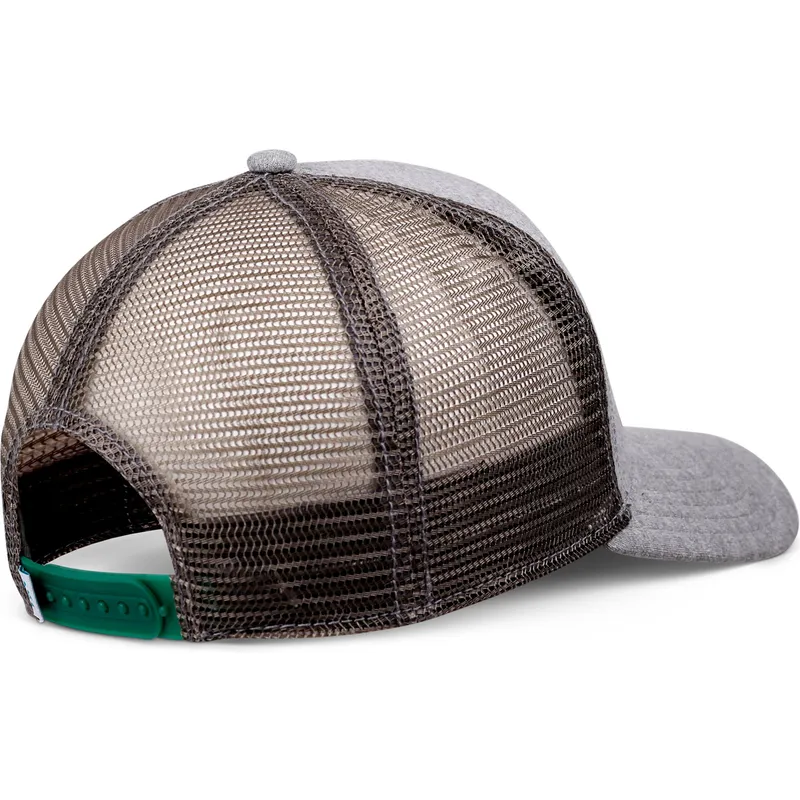 lippikset-kaareva-rekka-harmaa-snapback-aloha-jersey-hft-coastal