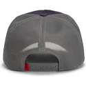 cap-kaareva-violet-snapback-goorin-bros-beat-dead-horse-horse-play-the-farm-purple-hat-the-farm-de-goorin-bros