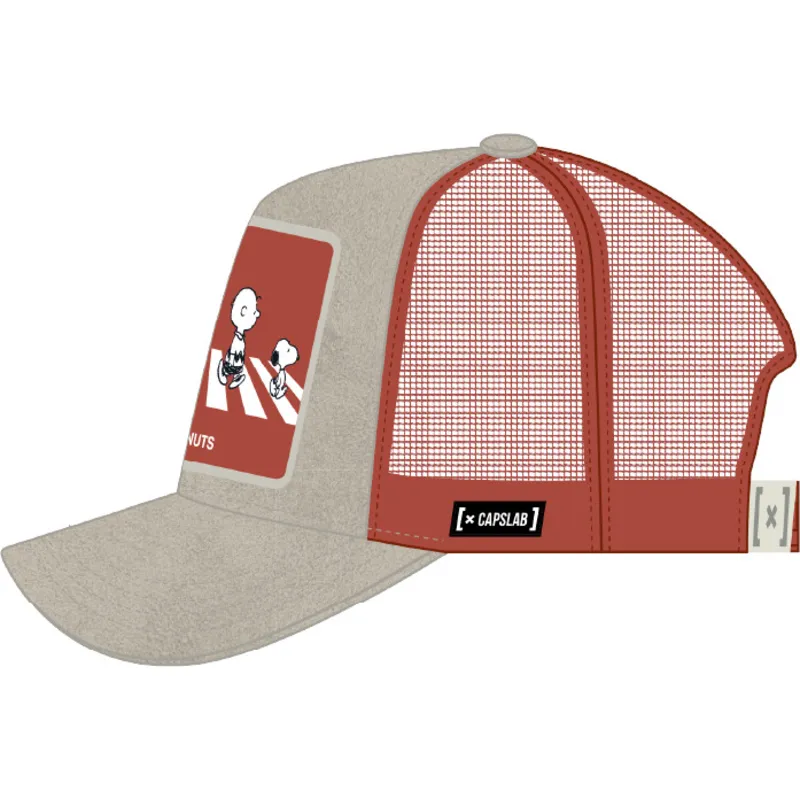 lippikset-kaareva-rekka-harmaa-snapback-pea5-pea-tenavat-capslab