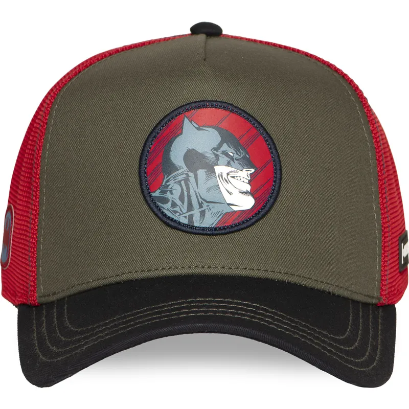 lippikset-kaareva-rekka-monivarinen-snapback-dc10-bat-ct-batman-dc-comics-capslab