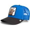 cap-kaareva-blue-snapback-the-farm-de-goorin-bros