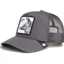 lippikset-kaareva-rekka-harmaa-snapback-silver-foxxx-the-farm-goorin-bros