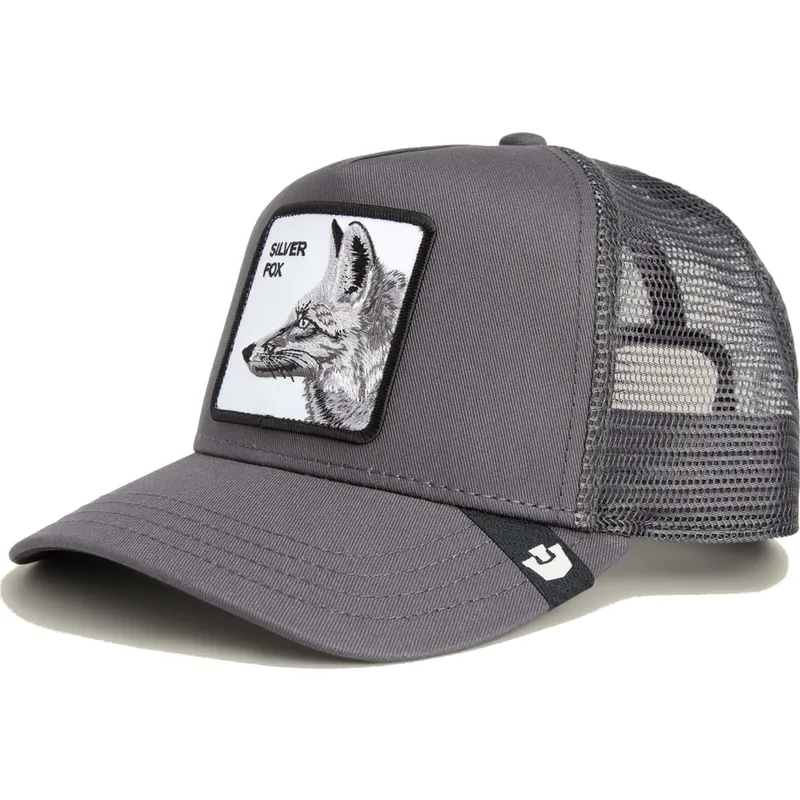 lippikset-kaareva-rekka-harmaa-snapback-silver-foxxx-the-farm-goorin-bros