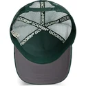 lippikset-kaareva-rekka-vihrea-snapback-the-homie-the-farm-goorin-bros