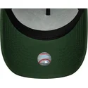 lippikset-kaareva-vihrea-snapback-9forty-e-frame-league-essential-new-york-yankees-mlb-new-era