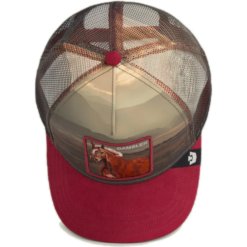 cap-kaareva-multicolor-snapback-the-farm-de-goorin-bros