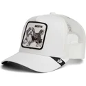 cap-kaareva-white-snapback-the-farm-de-goorin-bros