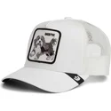 lippikset-kaareva-rekka-valkoinen-snapback-lapsille-bestie-mini-the-farm-goorin-bros