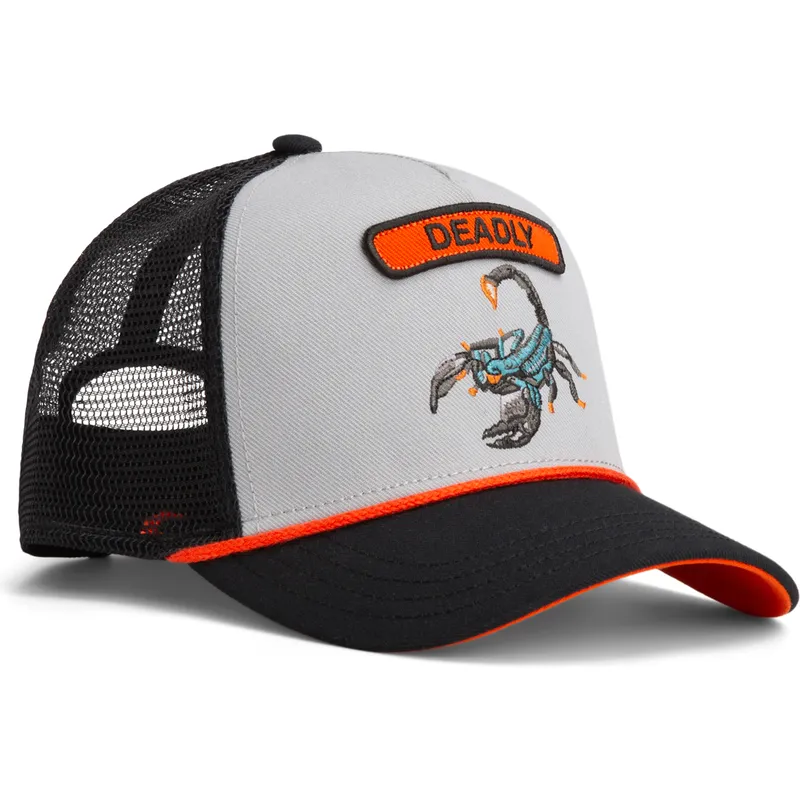 cap-kaareva-gray-snapback-the-farm-de-goorin-bros