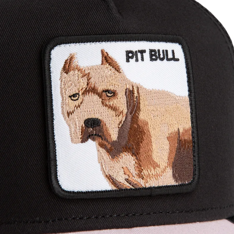 cap-kaareva-black-snapback-the-farm-de-goorin-bros