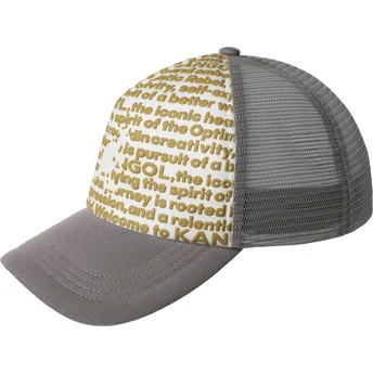 Cap kaareva gray snapback Kangol