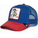 cap-kaareva-blue-snapback-the-farm-de-goorin-bros