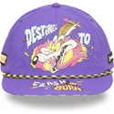 lippikset-littea-violetti-snapback-loo13-dtcb-kojootti-looney-tunes-capslab