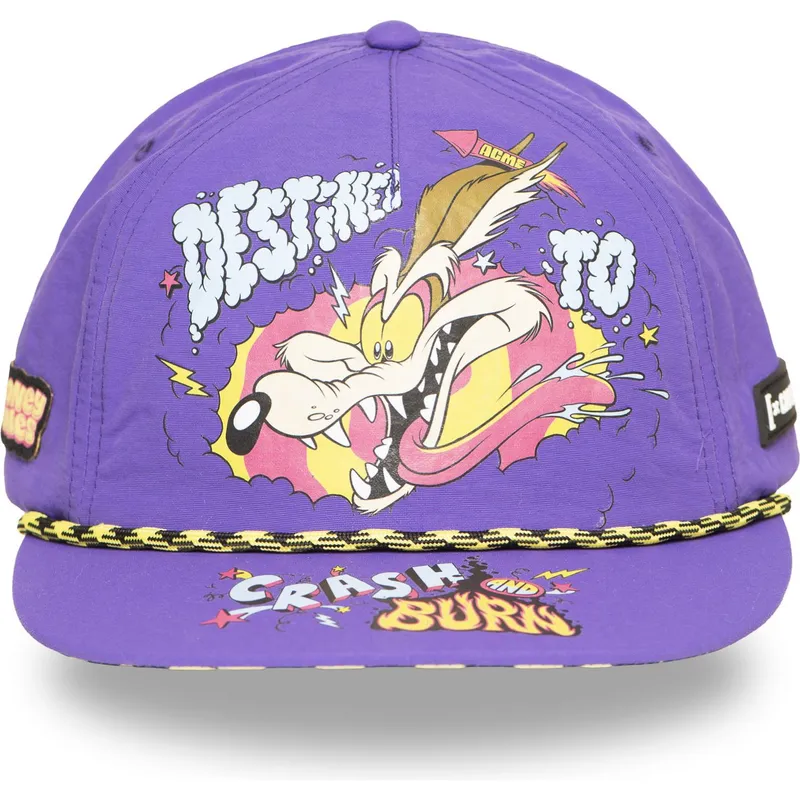 lippikset-littea-violetti-snapback-kojootti-looney-tunes-capslab