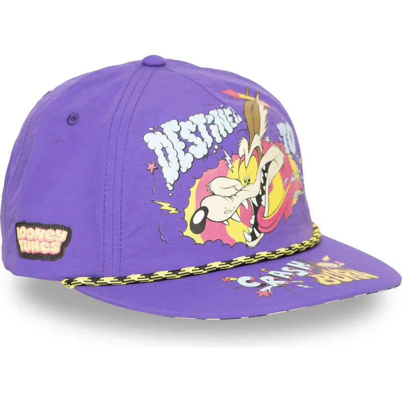 lippikset-littea-violetti-snapback-kojootti-looney-tunes-capslab