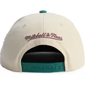 lippikset-littea-vihrea-snapback-across-the-board-anaheim-ducks-nhl-mitchell-ness