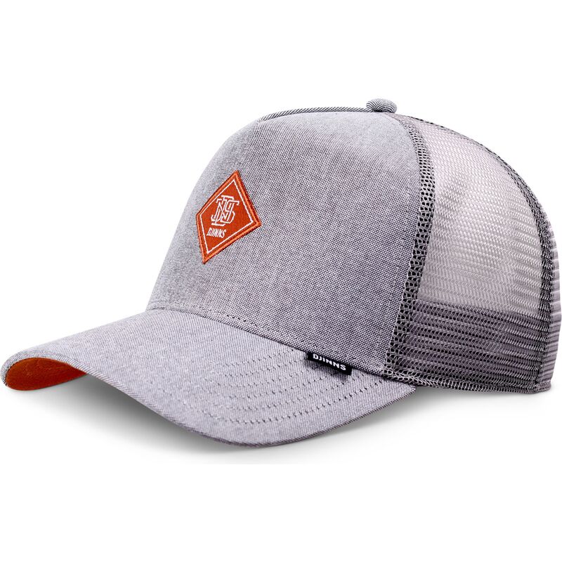 cap-kaareva-gray-snapback-djinns
