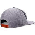 cap-littea-gray-snapback-djinns