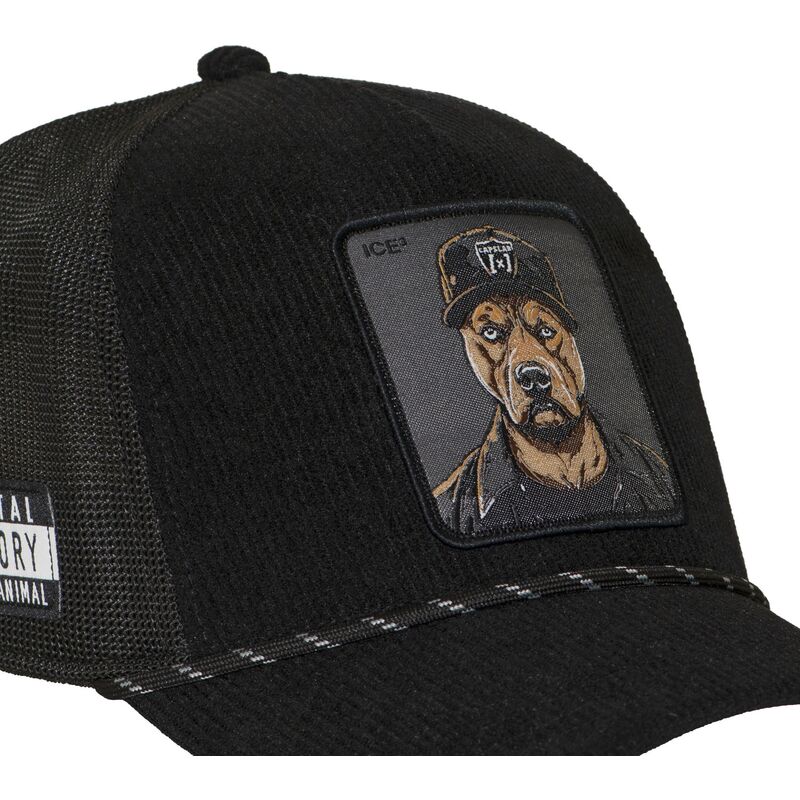 cap-kaareva-black-snapback-hip-hop-dogz-capslab