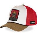 cap-kaareva-multicolor-snapback-hip-hop-dogz-capslab