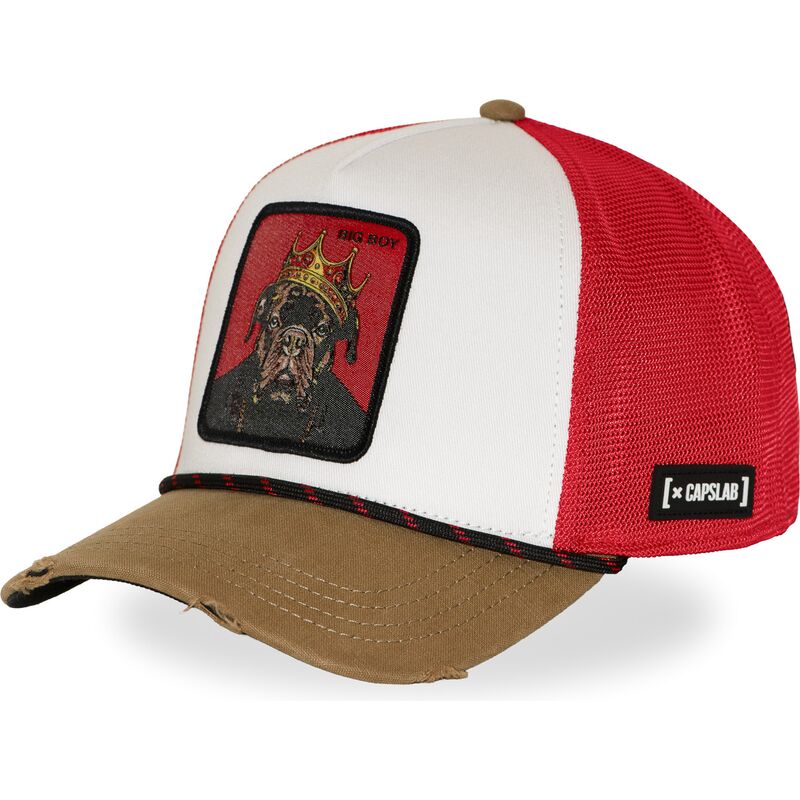 capslab-big-boy-hip-bigb-hip-hop-dogz-multicolor-trucker-hat capslab-big-boy-hip-bigb-hip-hop-dogz-multicolor-trucker-hat