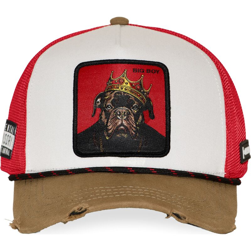 cap-kaareva-multicolor-snapback-hip-hop-dogz-capslab cap-kaareva-multicolor-snapback-hip-hop-dogz-capslab