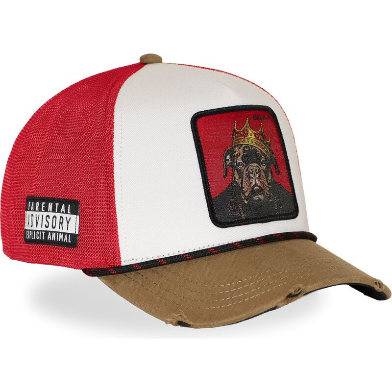 cap-kaareva-multicolor-snapback-hip-hop-dogz-capslab cap-kaareva-multicolor-snapback-hip-hop-dogz-capslab
