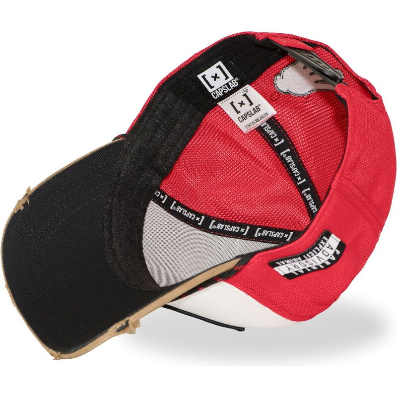 cap-kaareva-multicolor-snapback-hip-hop-dogz-capslab cap-kaareva-multicolor-snapback-hip-hop-dogz-capslab
