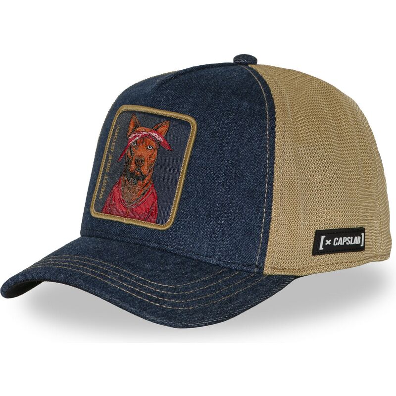 cap-kaareva-multicolor-snapback-hip-hop-dogz-capslab
